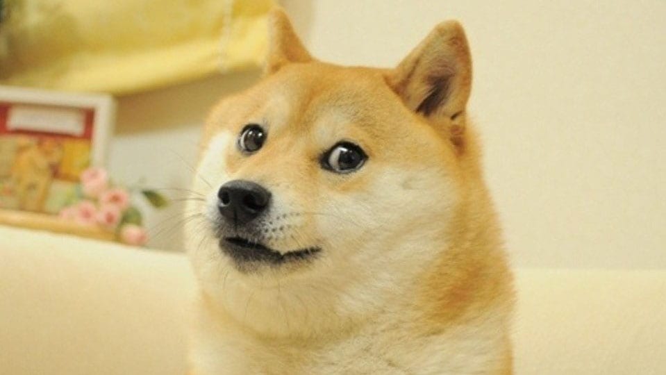 How does dogecoin go up?