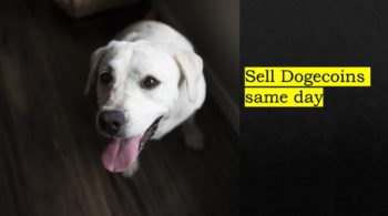 hot to sell dogecoin