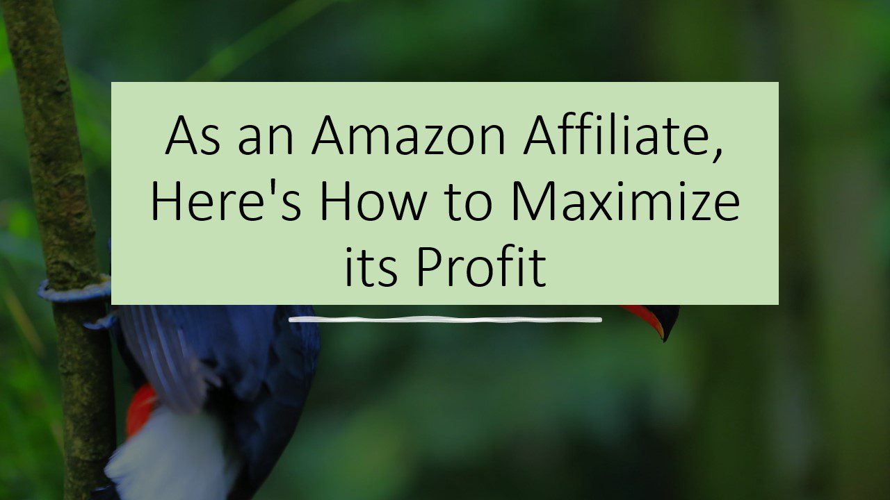 As an Amazon Affiliate, Here’s How to Maximize its Profit